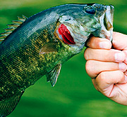 24小时轰炸对方的电话软件